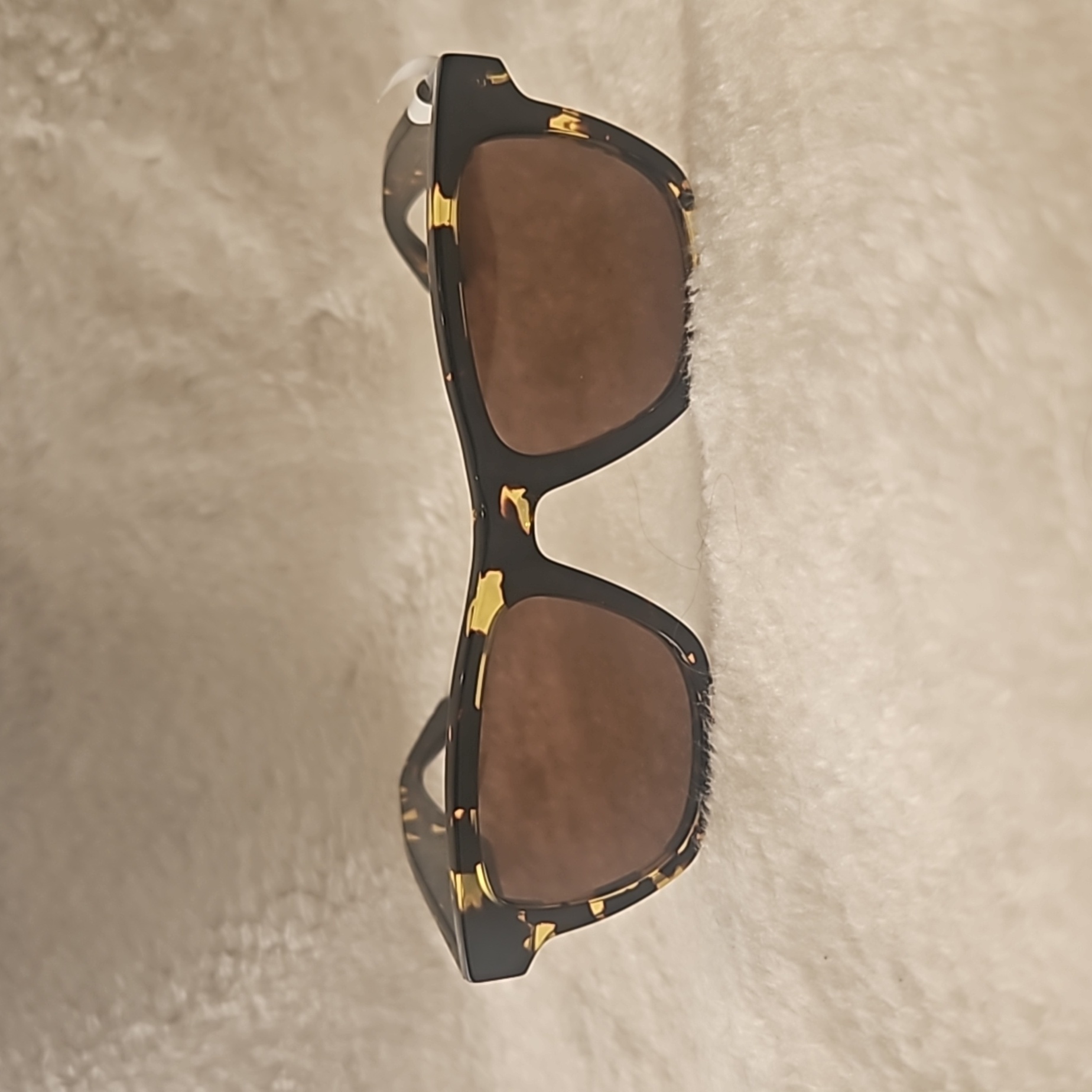 Bottega Veneta Square/Havana Shiny Brown Bv1120s Unisex Sunglasses